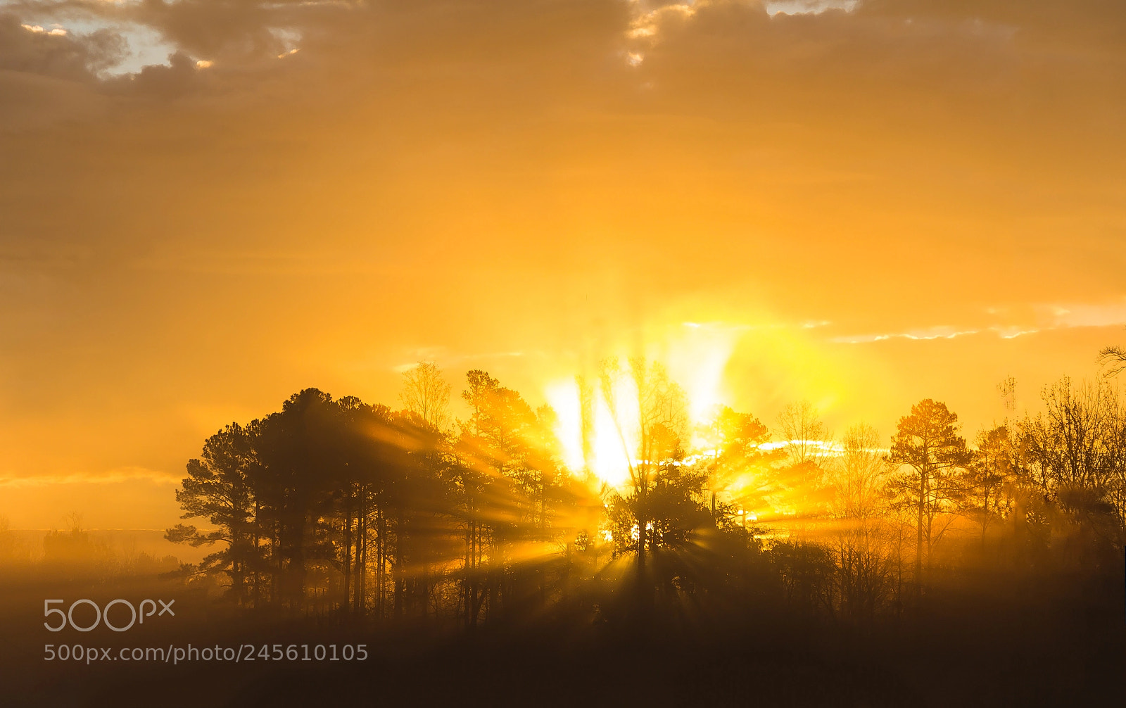 Canon EOS 60D sample photo. Morning fire redux photography
