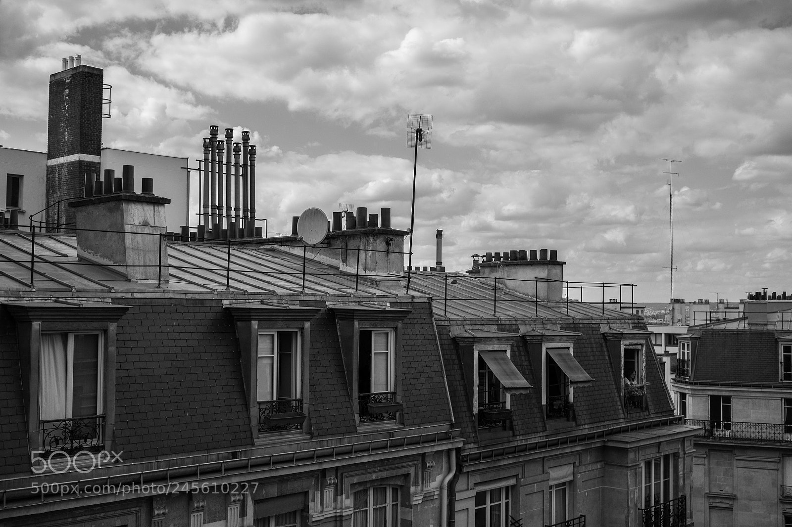 Fujifilm X-E1 sample photo. 28261949710.jpg photography