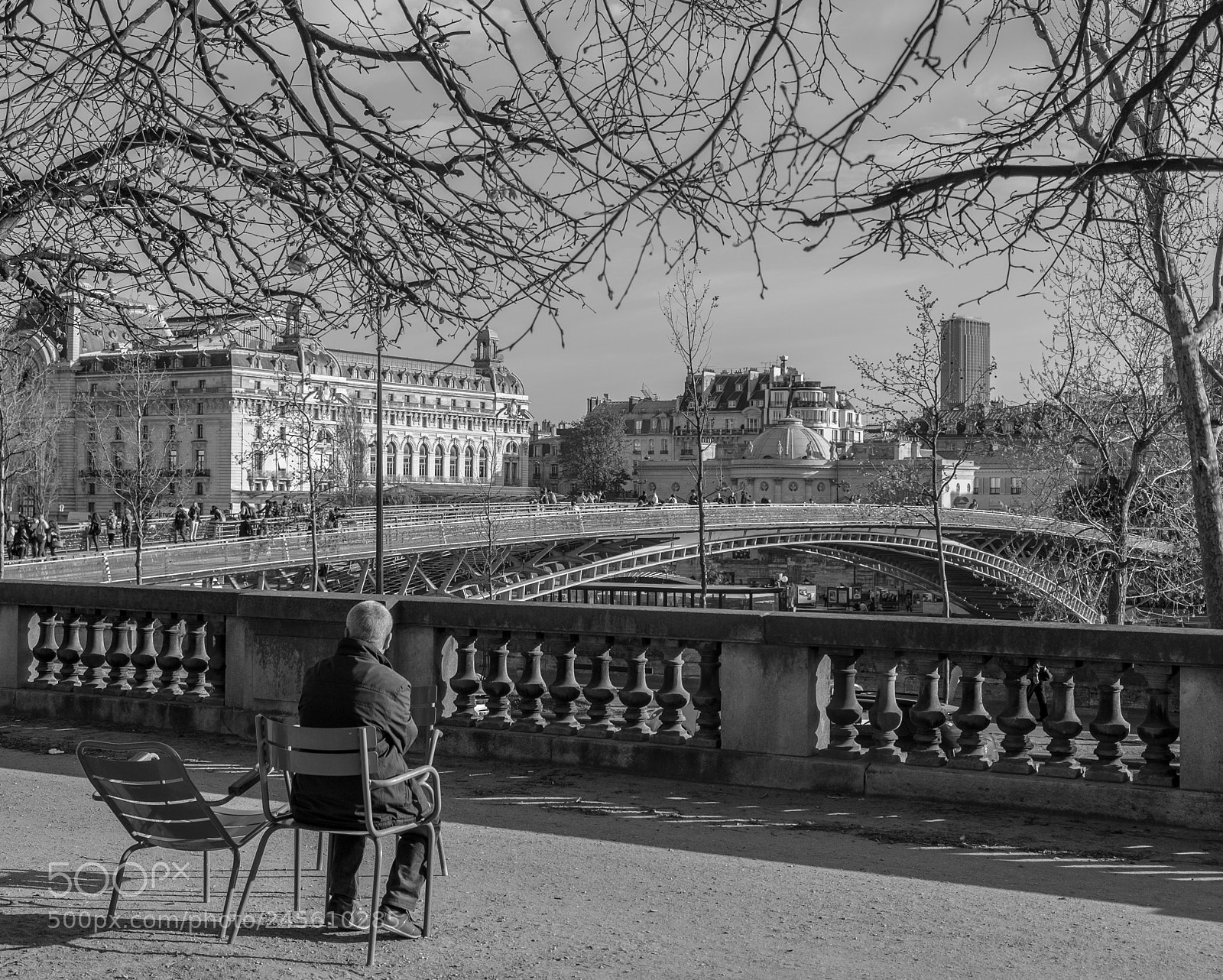 Fujifilm X-E1 sample photo. 19531390254.jpg photography