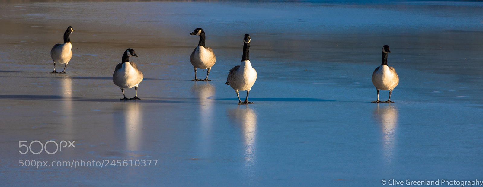 Pentax K-70 sample photo. Jpa photography