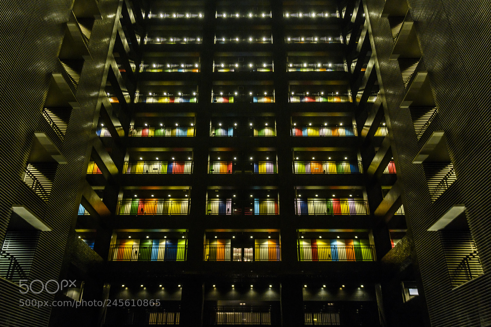 Nikon D850 sample photo. Colors. photography