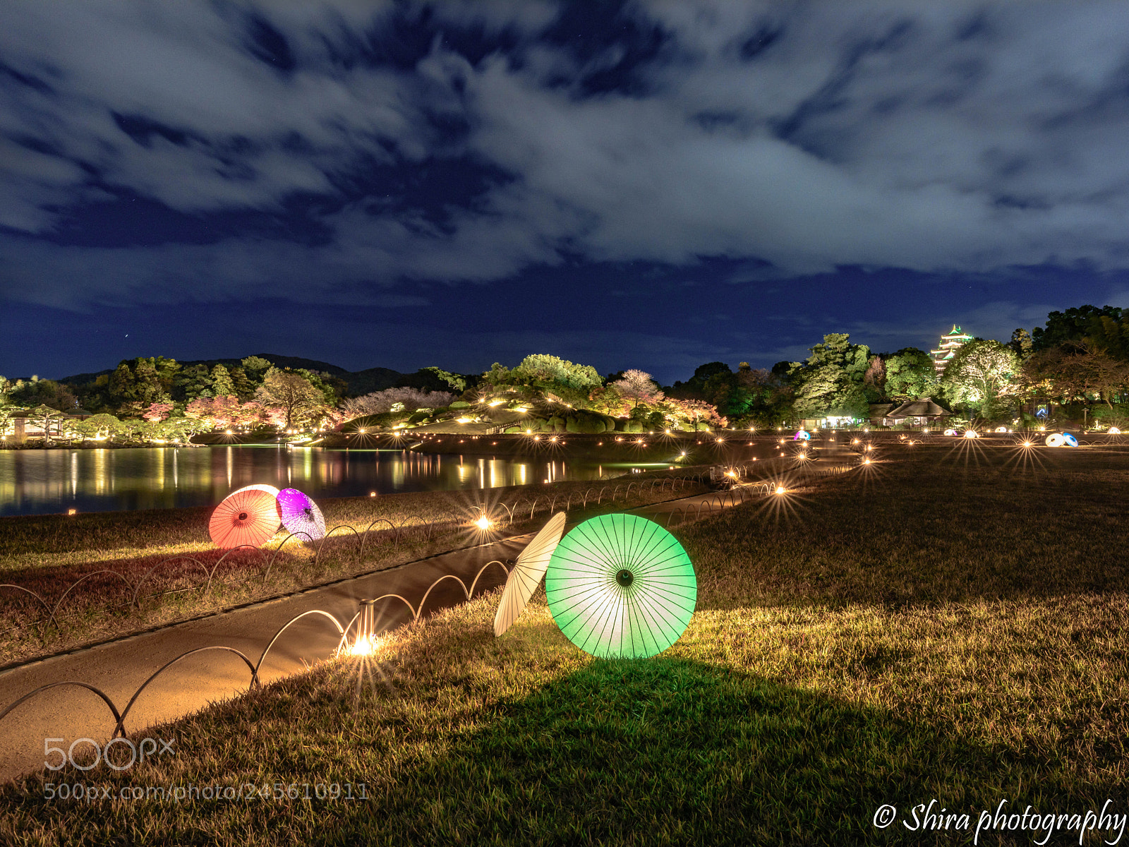 Nikon D810 sample photo. Japanese garden photography
