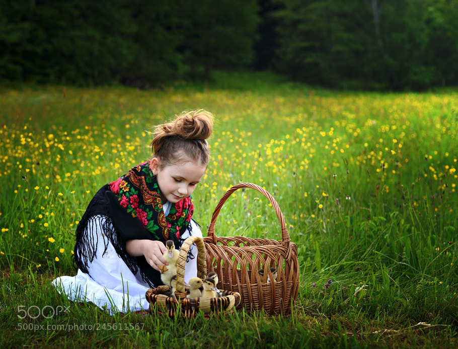 Nikon D610 sample photo. * * * photography