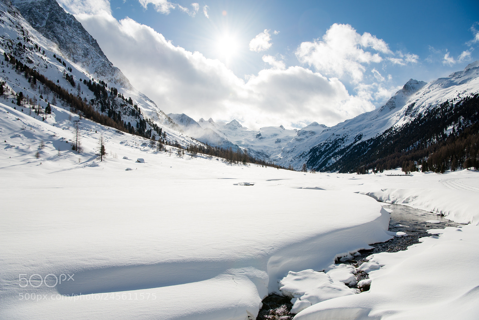 Nikon D800 sample photo. Winter photography