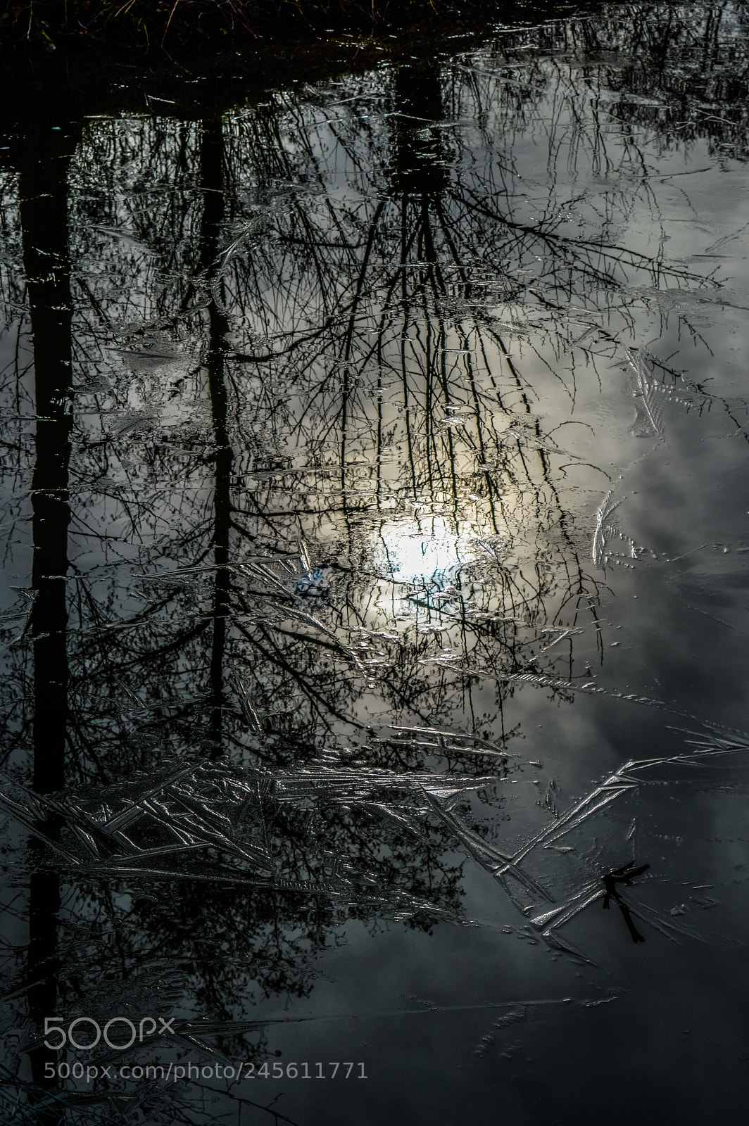 Nikon D3200 sample photo. Reflections and ice photography