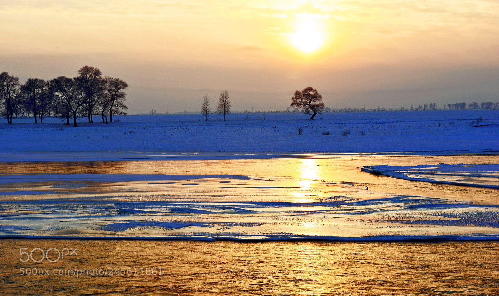 Nikon D800E sample photo. 雾凇岛上的日落 photography