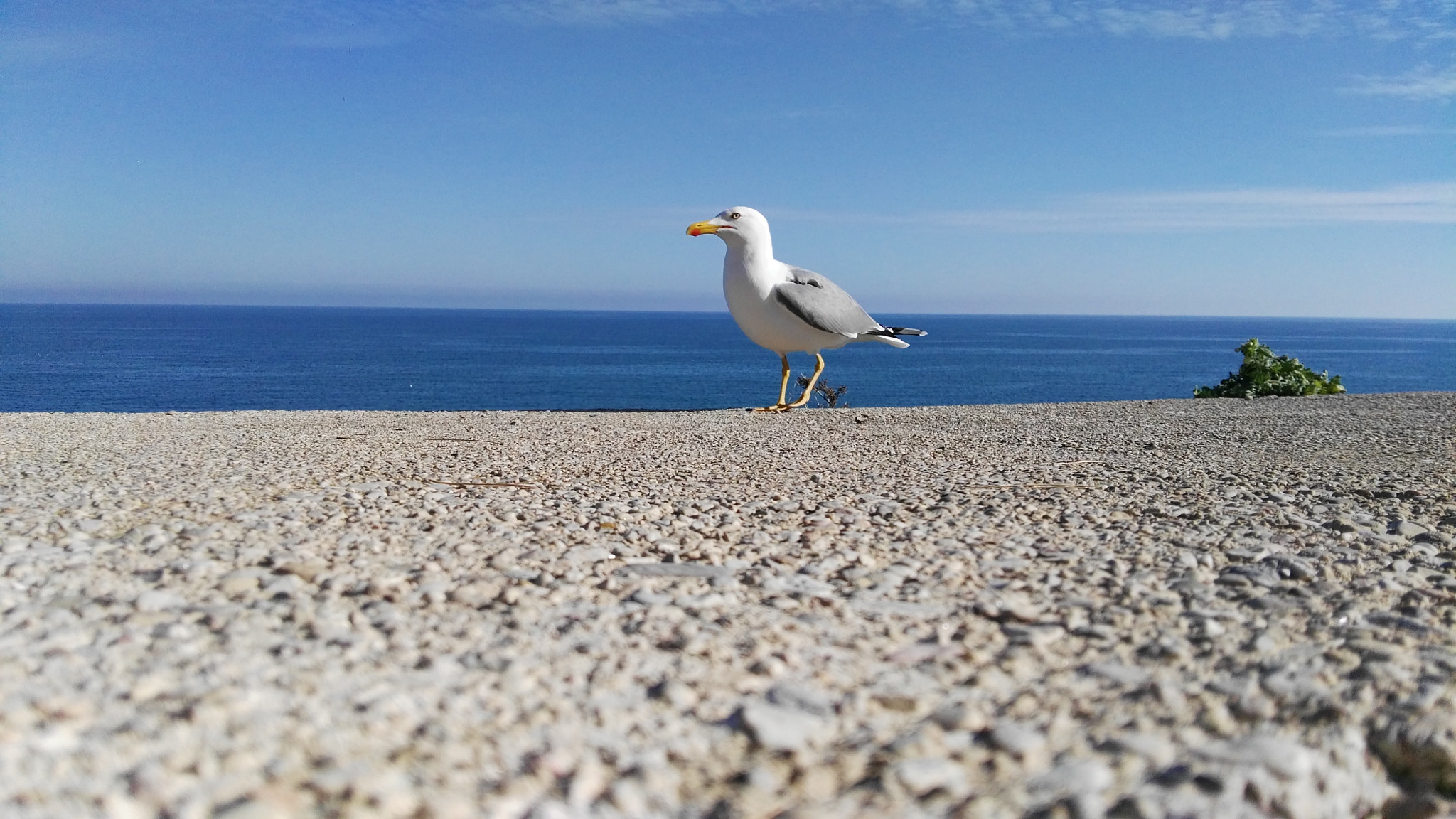 HUAWEI GX8 sample photo