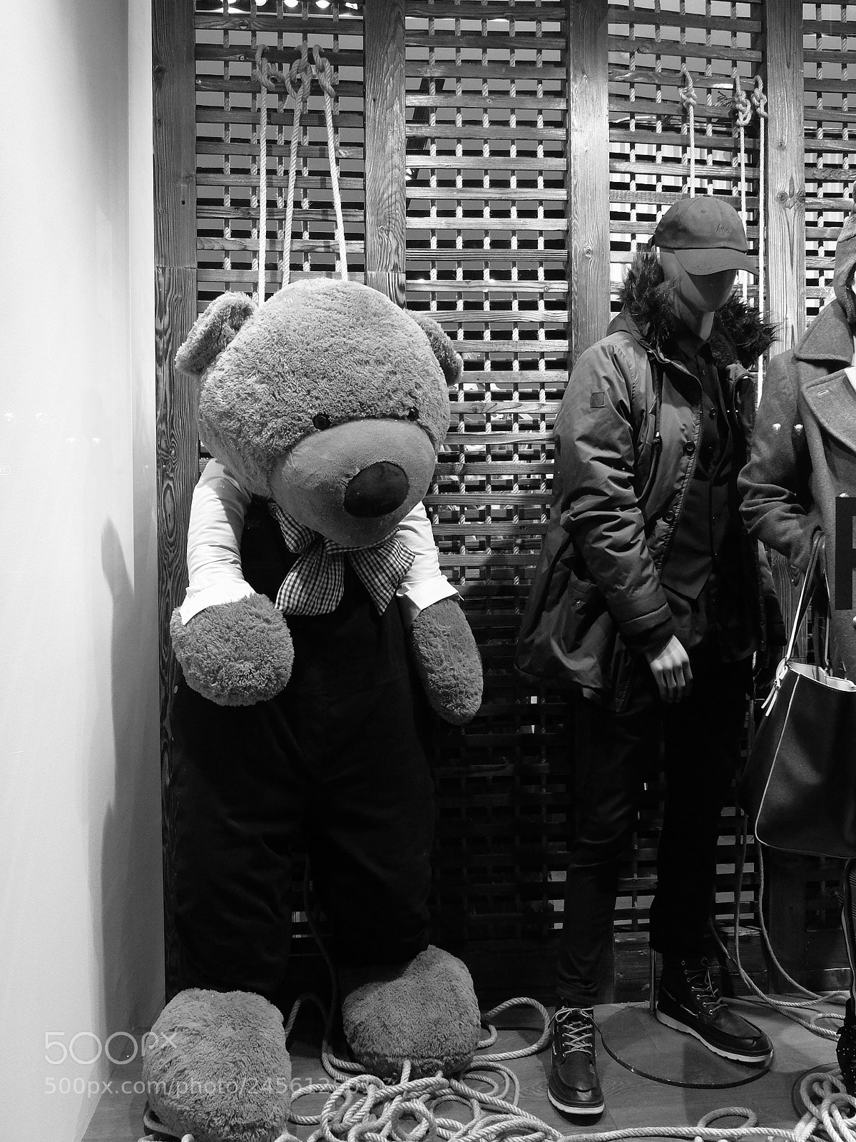 Fujifilm X30 sample photo. The sad bear photography