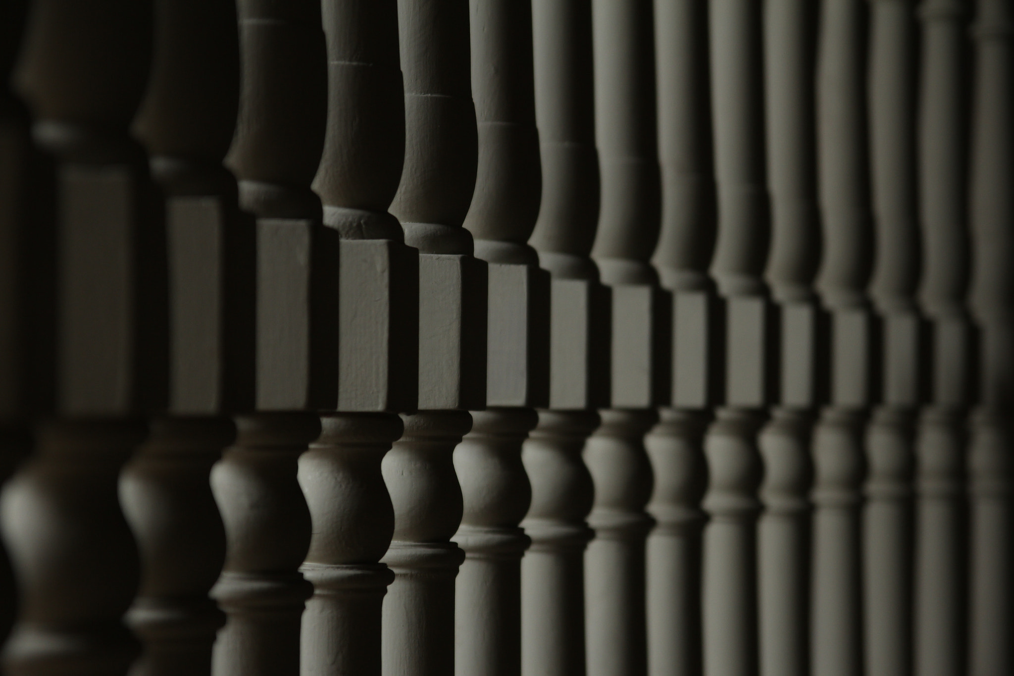 Canon EOS 60D sample photo