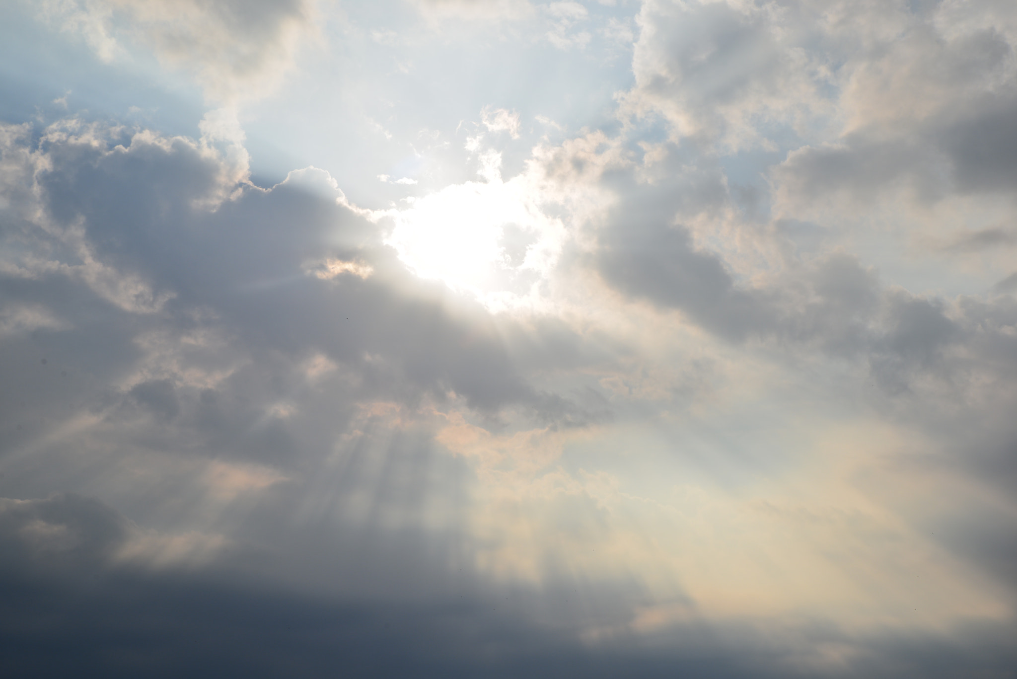 Tamron SP 24-70mm F2.8 Di VC USD sample photo. Sunbeams photography