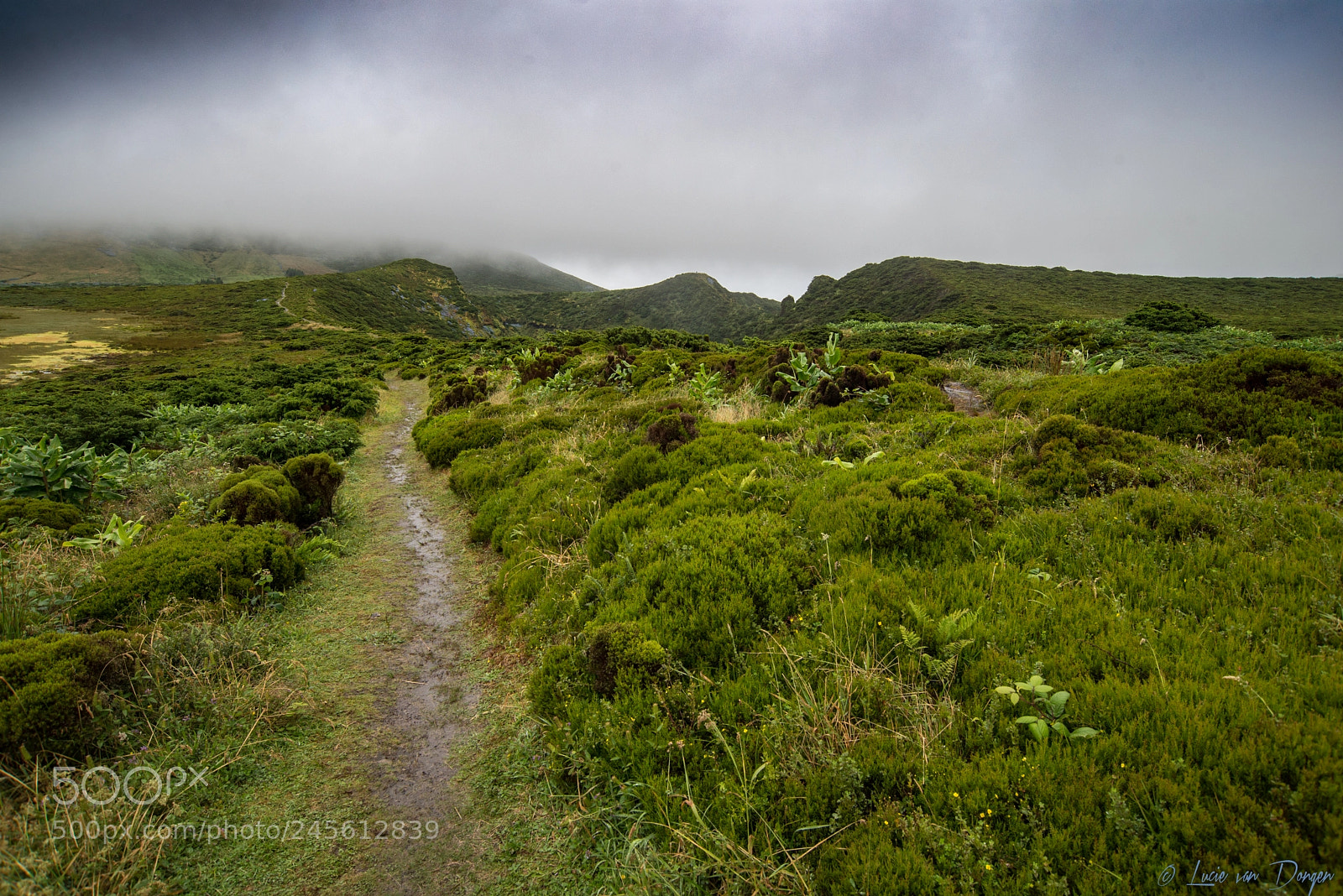 Nikon D610 sample photo. Flores panorama fajä photography