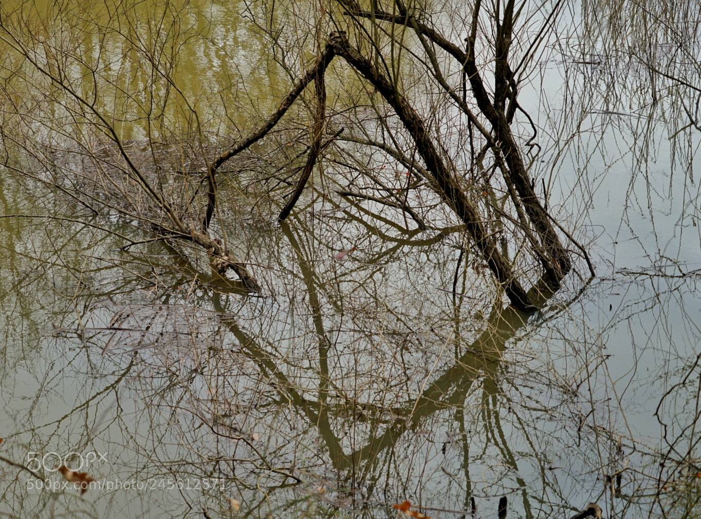 Sony a7 II sample photo. Reflection 1 photography