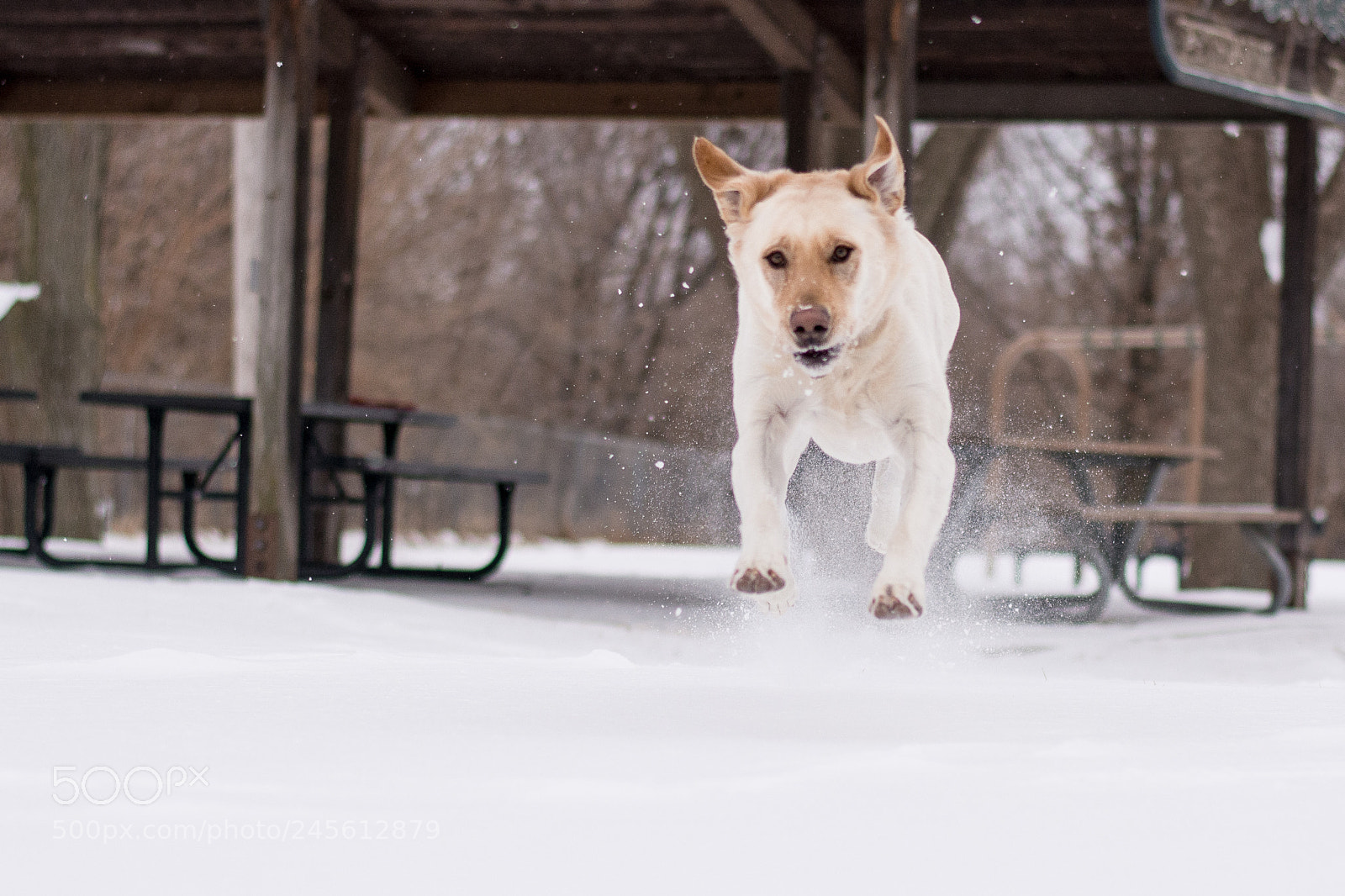 Nikon D7100 sample photo. She believes she can photography