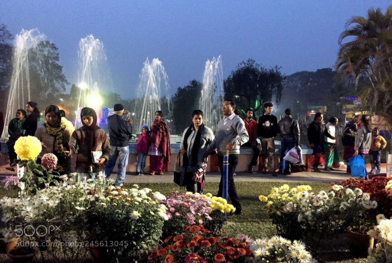 Apple iPhone 6 sample photo. Flower show photography