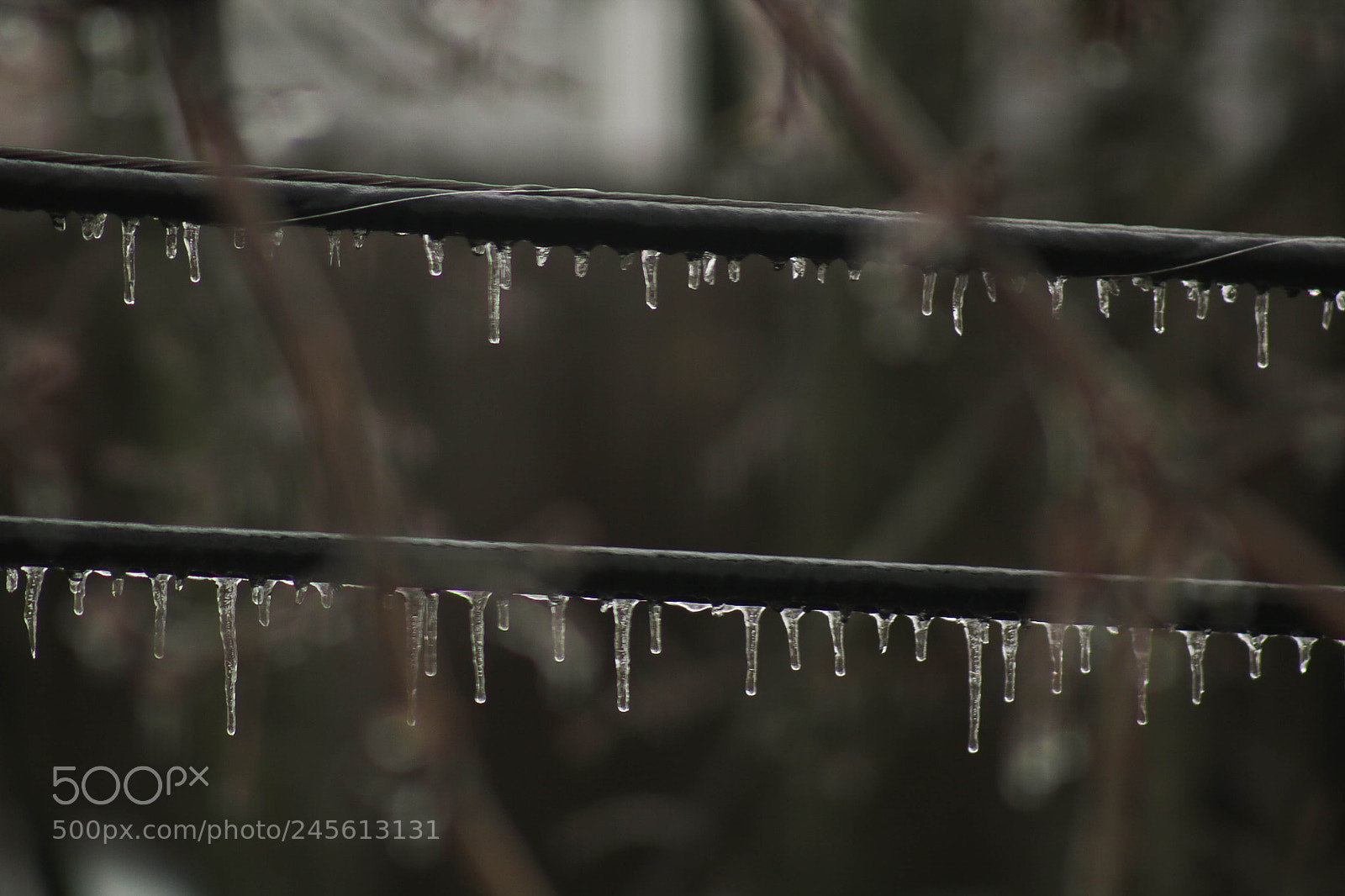 Canon EOS 760D (EOS Rebel T6s / EOS 8000D) sample photo. Telephone line photography