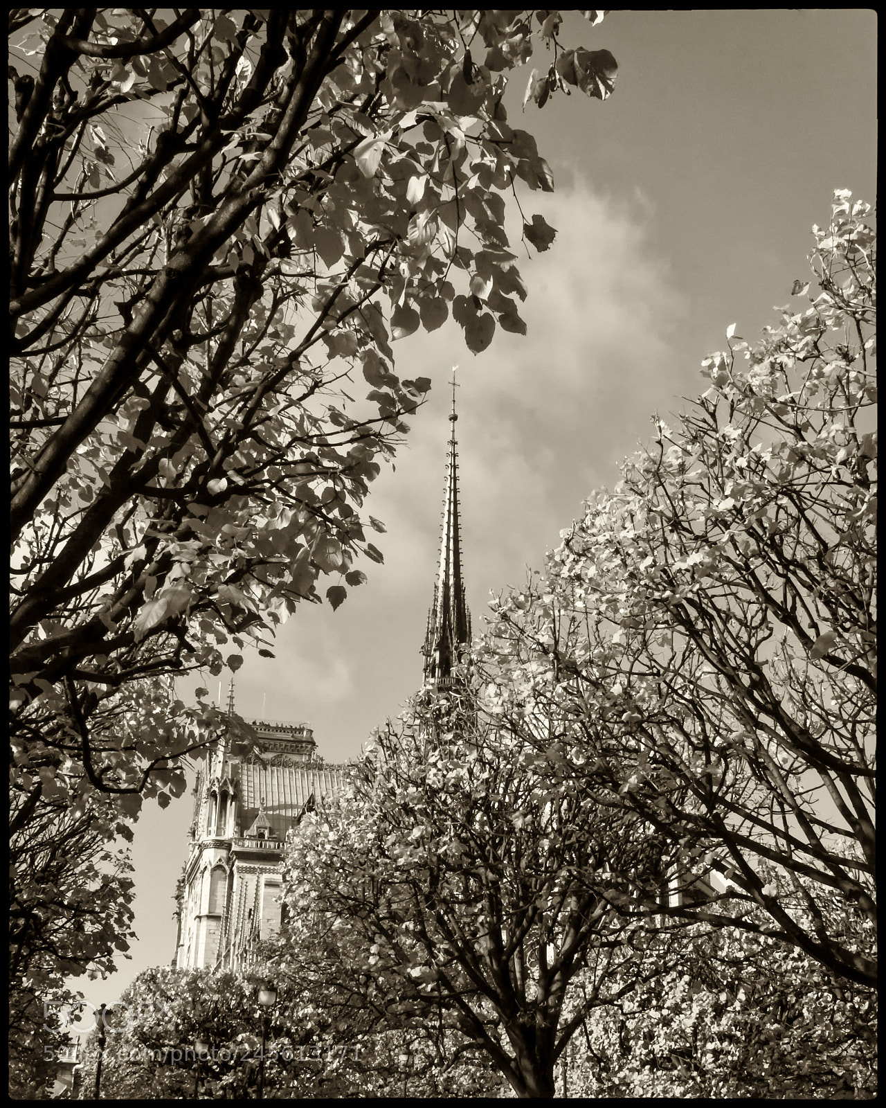 Canon EOS 60D sample photo. The spire photography