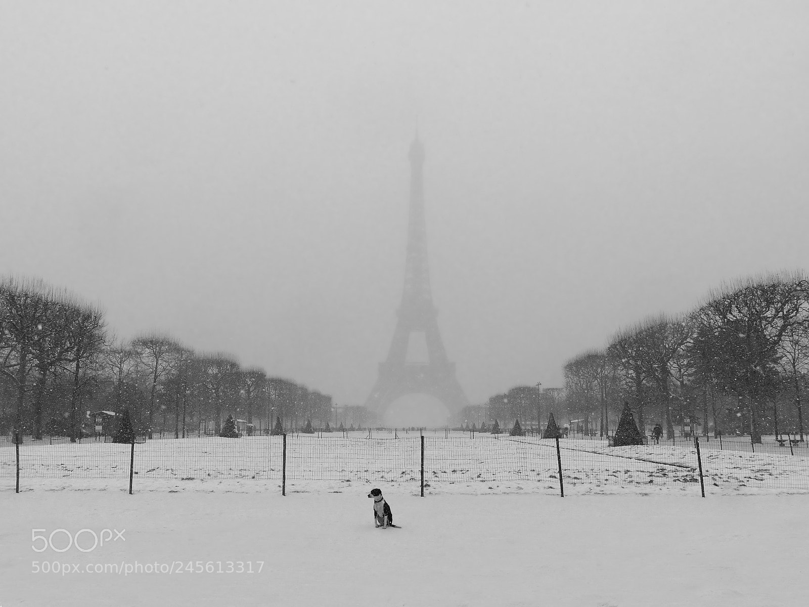 Panasonic Lumix DC-GH5 sample photo. Eiffel tower 2 photography