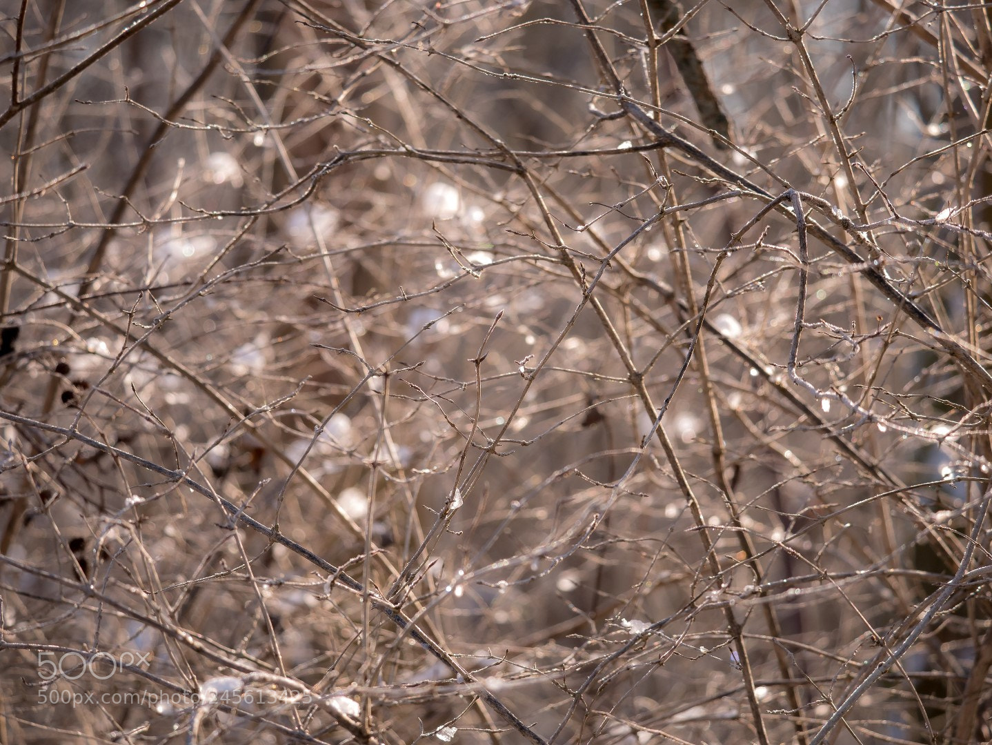 Panasonic Lumix DMC-GX85 (Lumix DMC-GX80 / Lumix DMC-GX7 Mark II) sample photo. Winter light photography