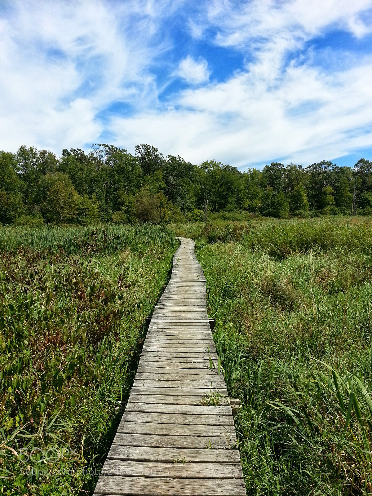 Samsung Galaxy S3 sample photo. The boardwalk photography
