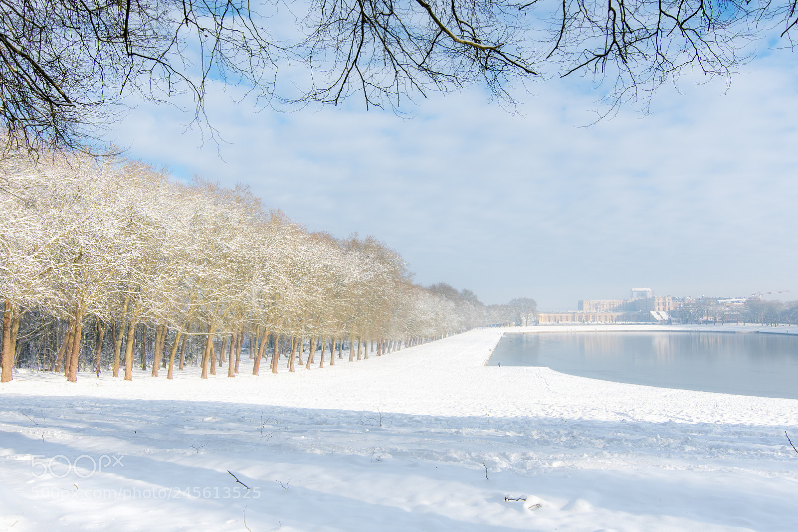 Nikon D500 sample photo. Hiver à versailles photography