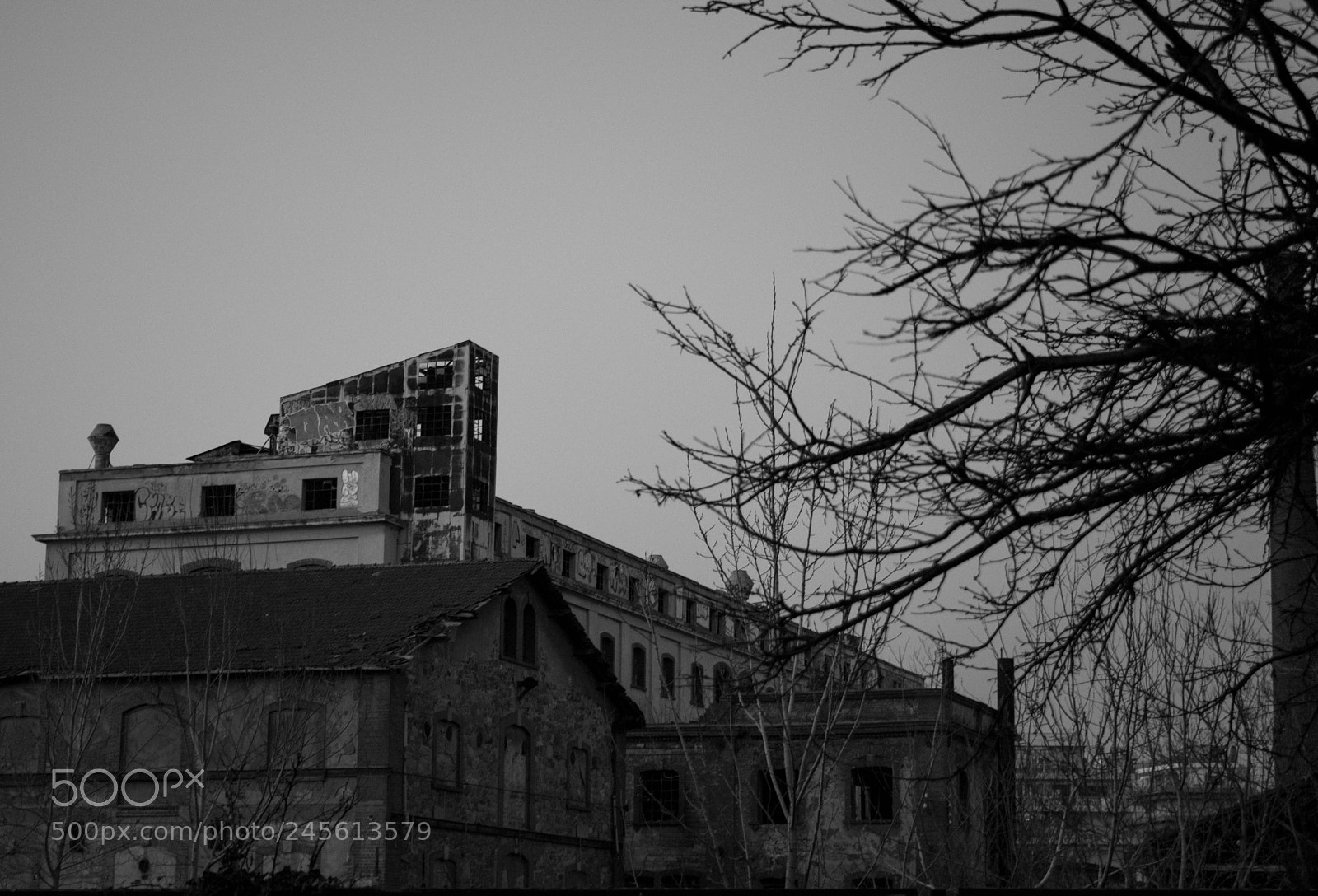 Nikon D3400 sample photo. Decay photography