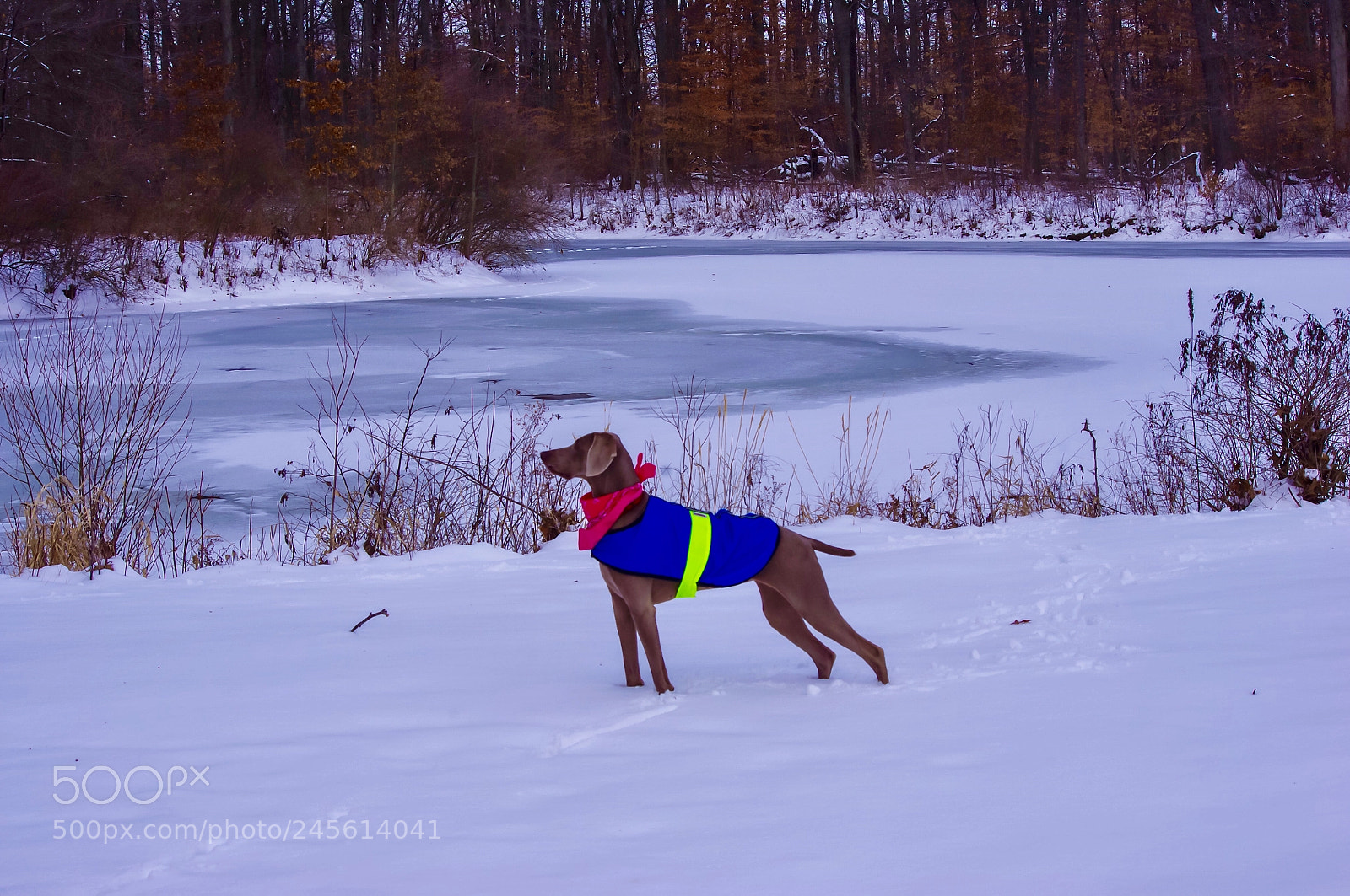 Pentax K-x sample photo. Gianna lakefront photography