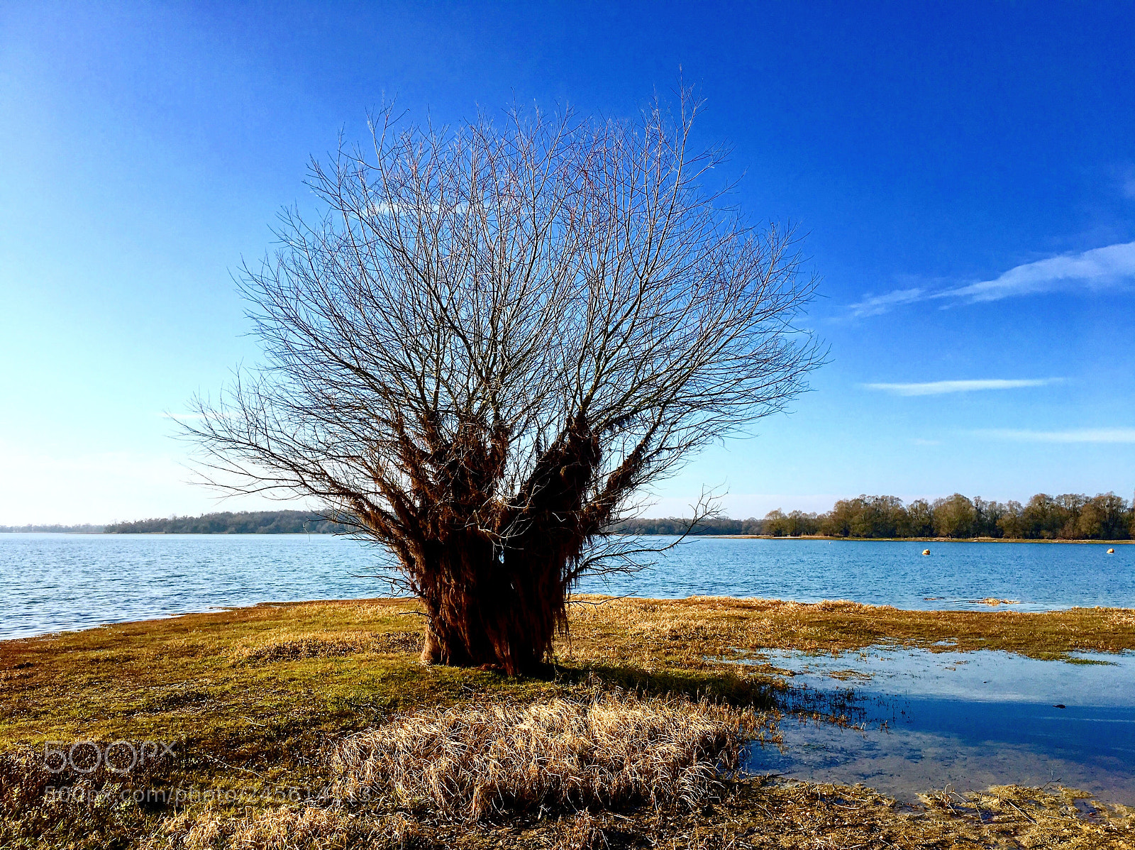 Apple iPhone 6s sample photo. Lake photography