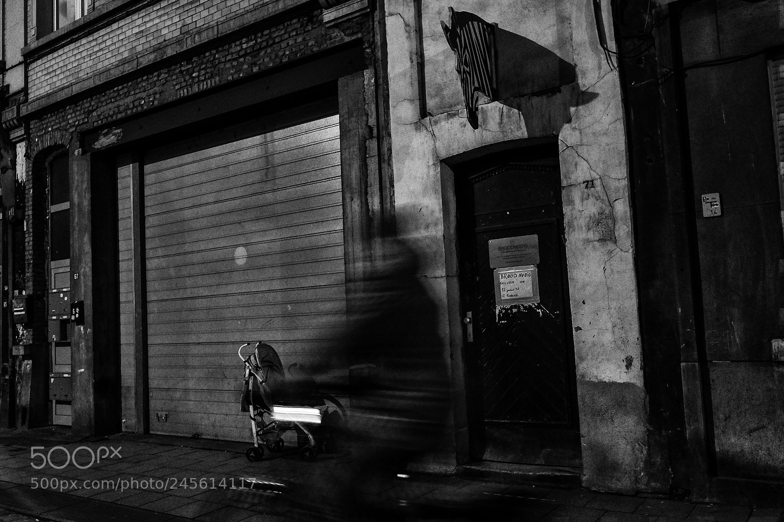 Fujifilm X-T2 sample photo. Zebra photography
