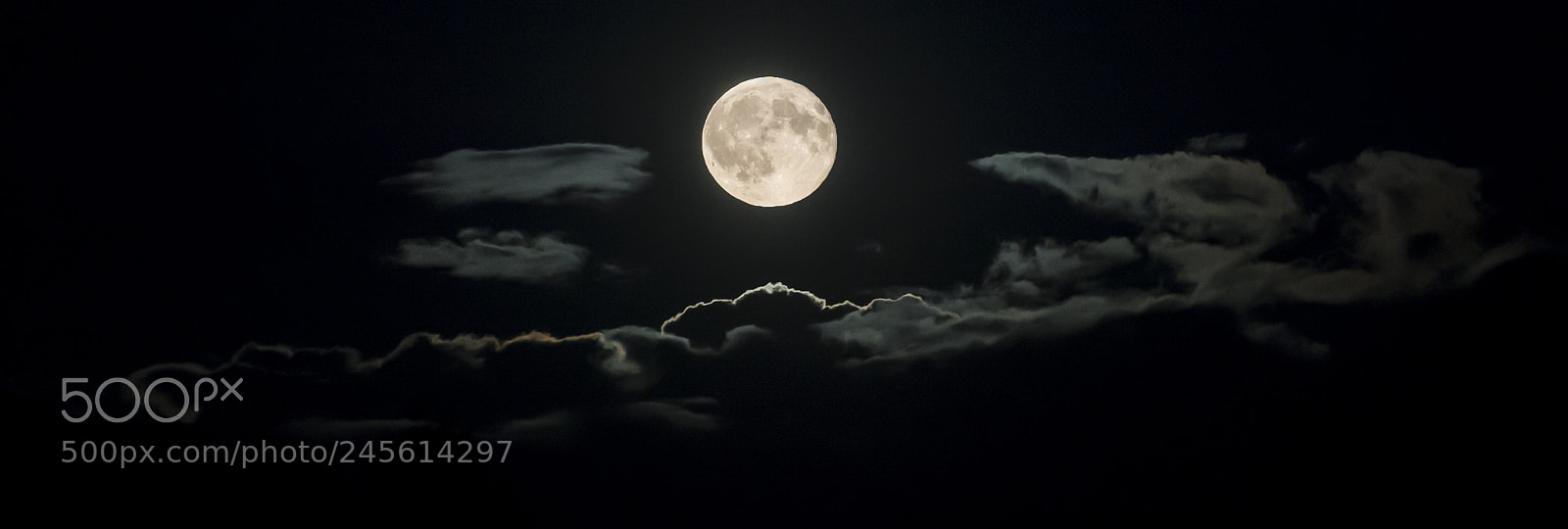 Nikon D800 sample photo. Untitled photography