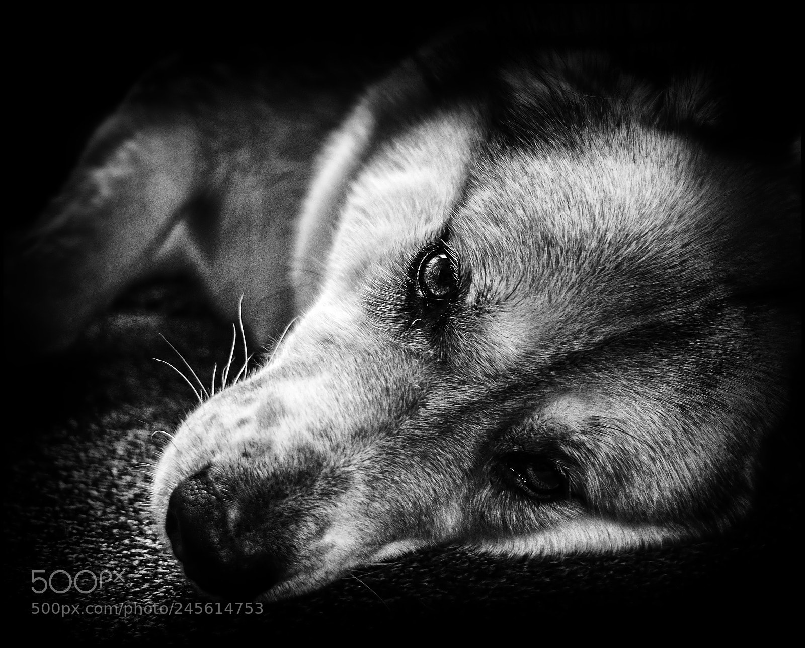 Fujifilm X-T10 sample photo. Mia photography