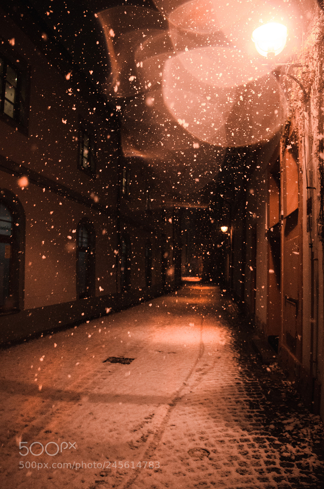 Pentax K-30 sample photo. Snowy stuff photography