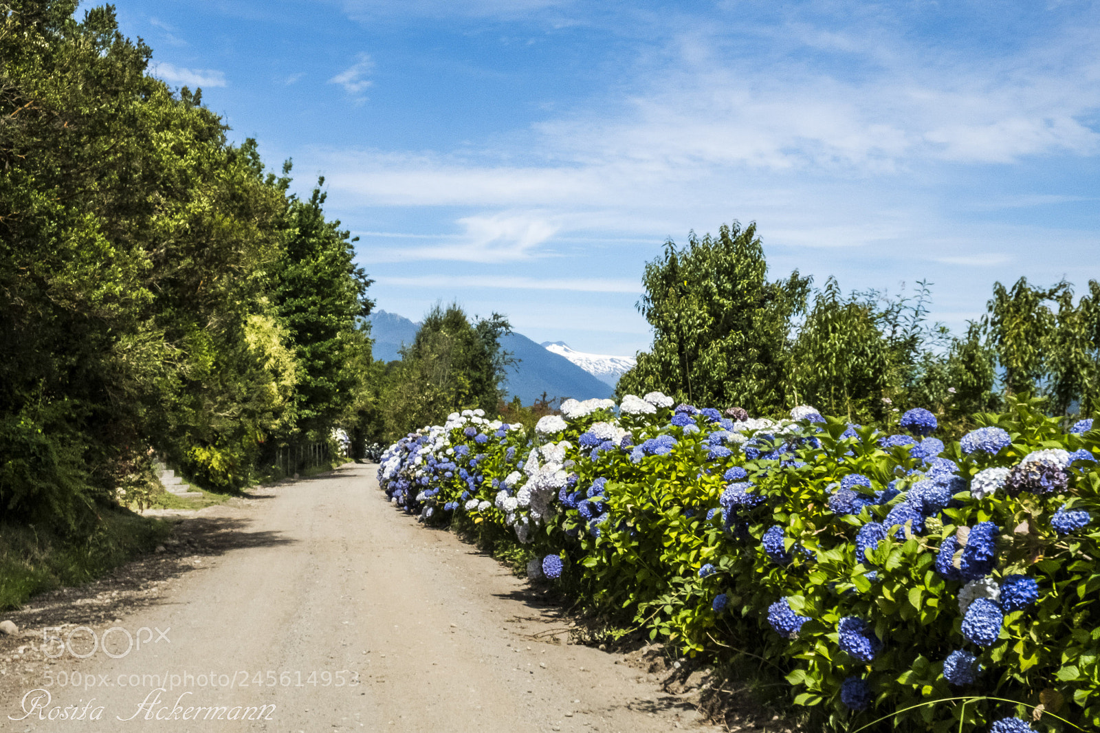 Fujifilm X-T20 sample photo. Riñihue - chile photography