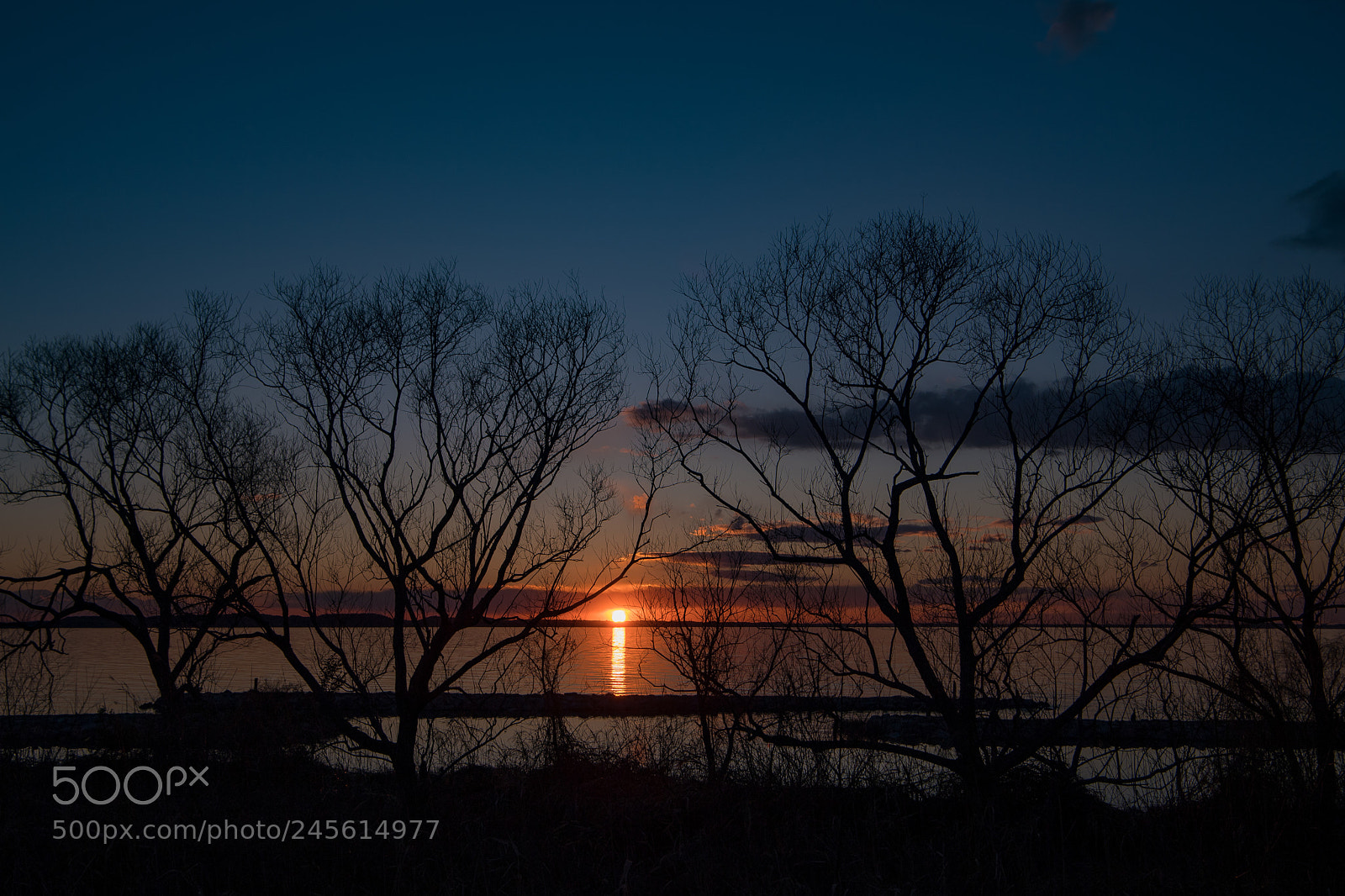 Nikon D5 sample photo. Sunset of lake kasumigaura photography