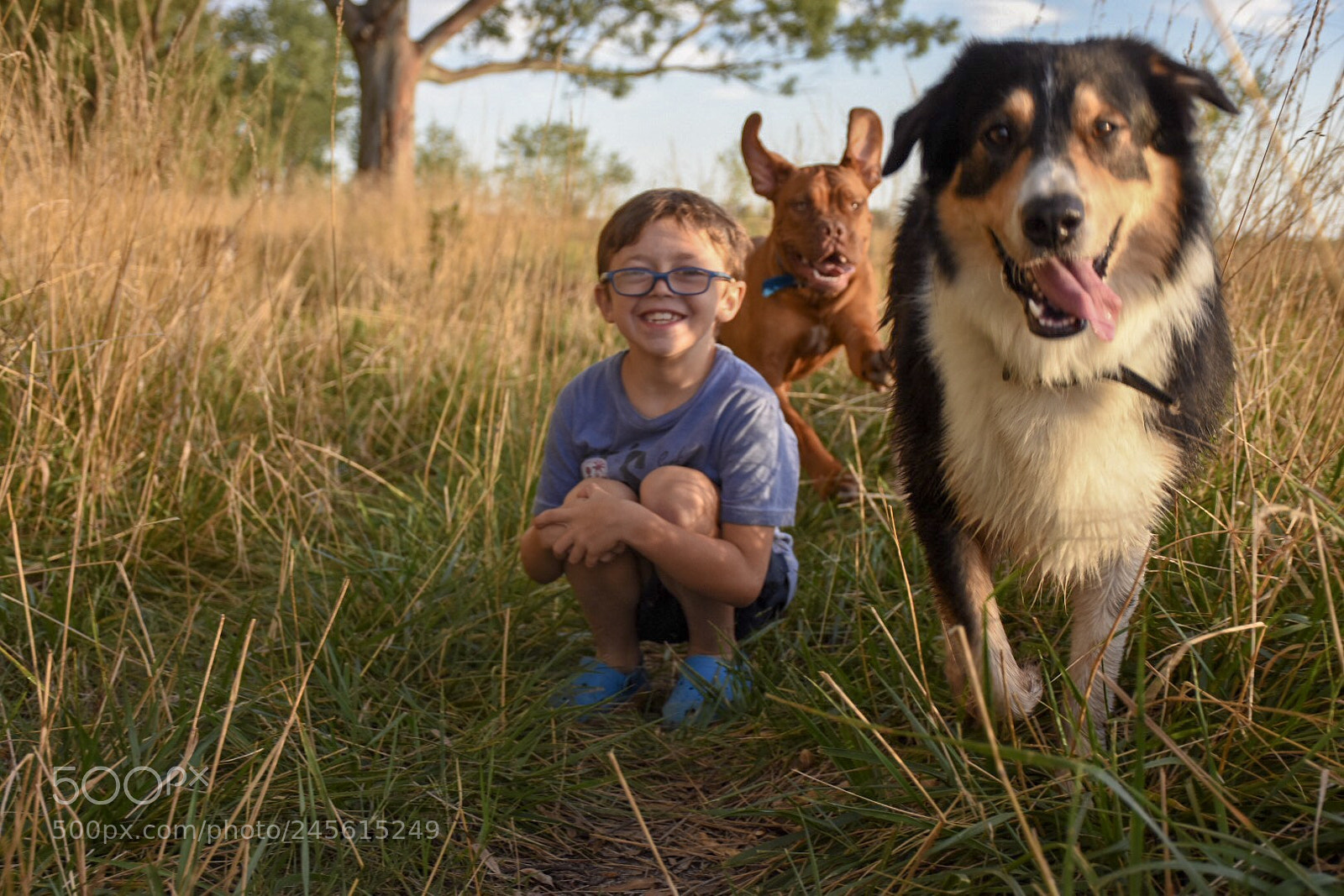 Nikon D7200 sample photo. Funny day photography