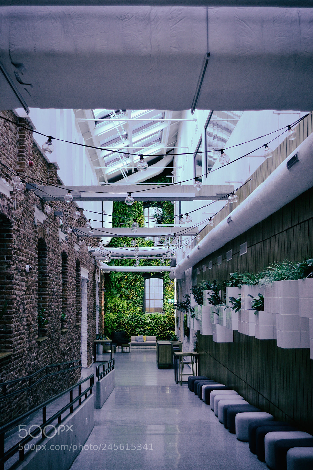 Nikon D3100 sample photo. Google campus photography