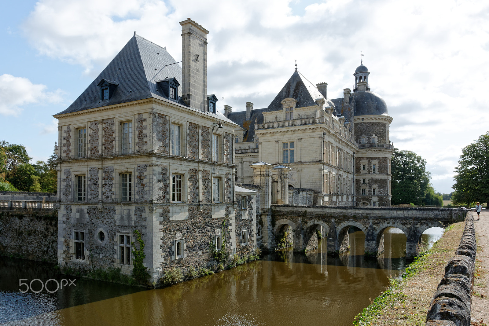 Nikon D7100 sample photo. Saint-georges-sur-loire, chateau de serrant, wassergraben photography