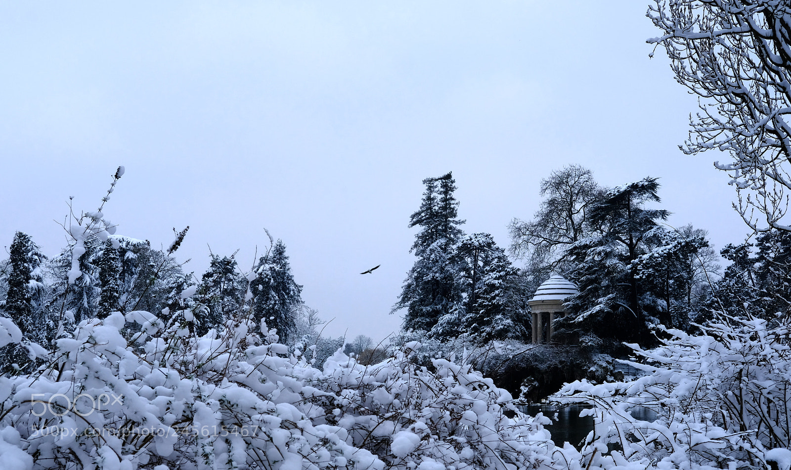Fujifilm X-Pro2 sample photo. Snow. photography