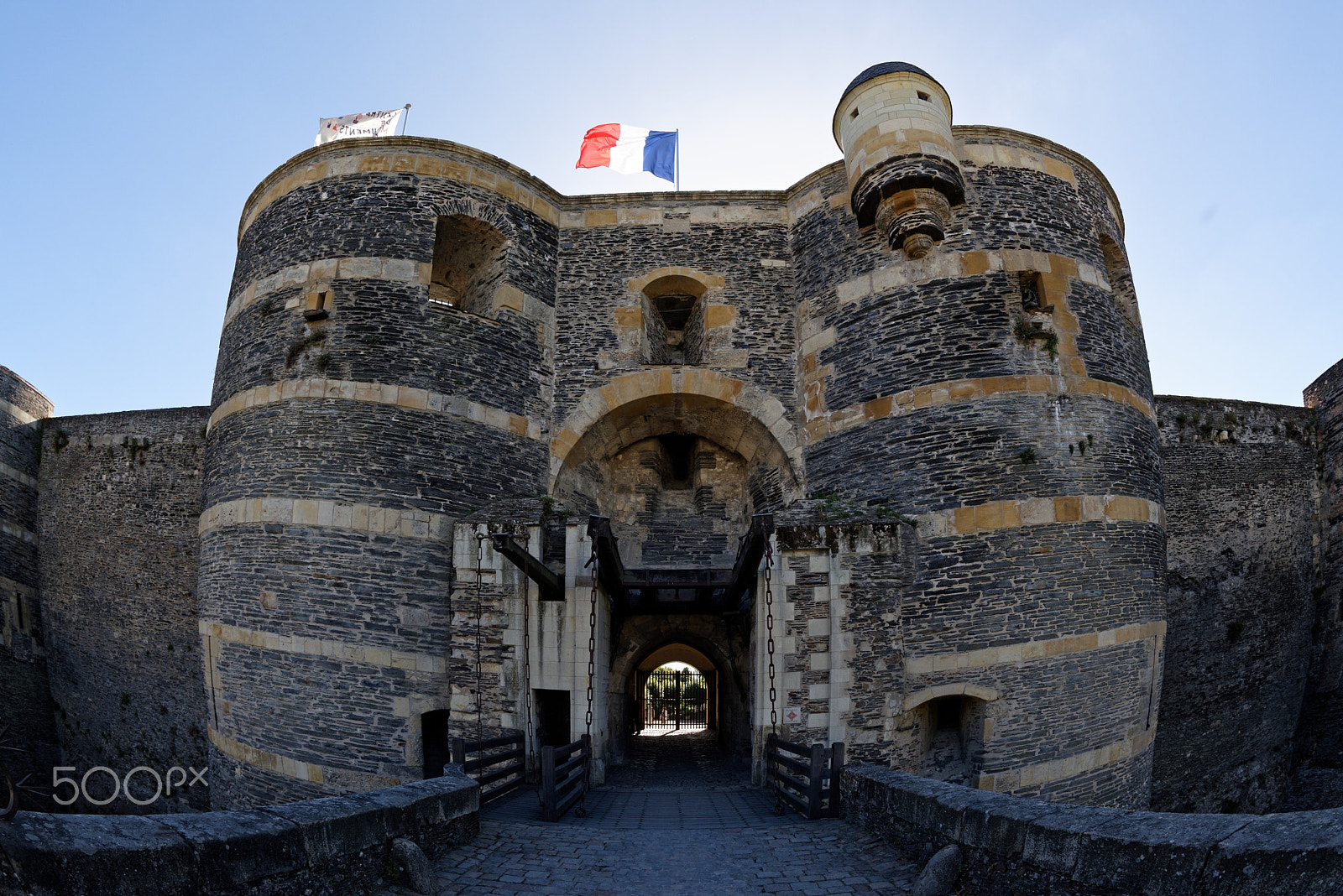 Nikon D810 + Nikon AF Fisheye-Nikkor 16mm F2.8D sample photo. Angers, chateau d'angers, tor photography