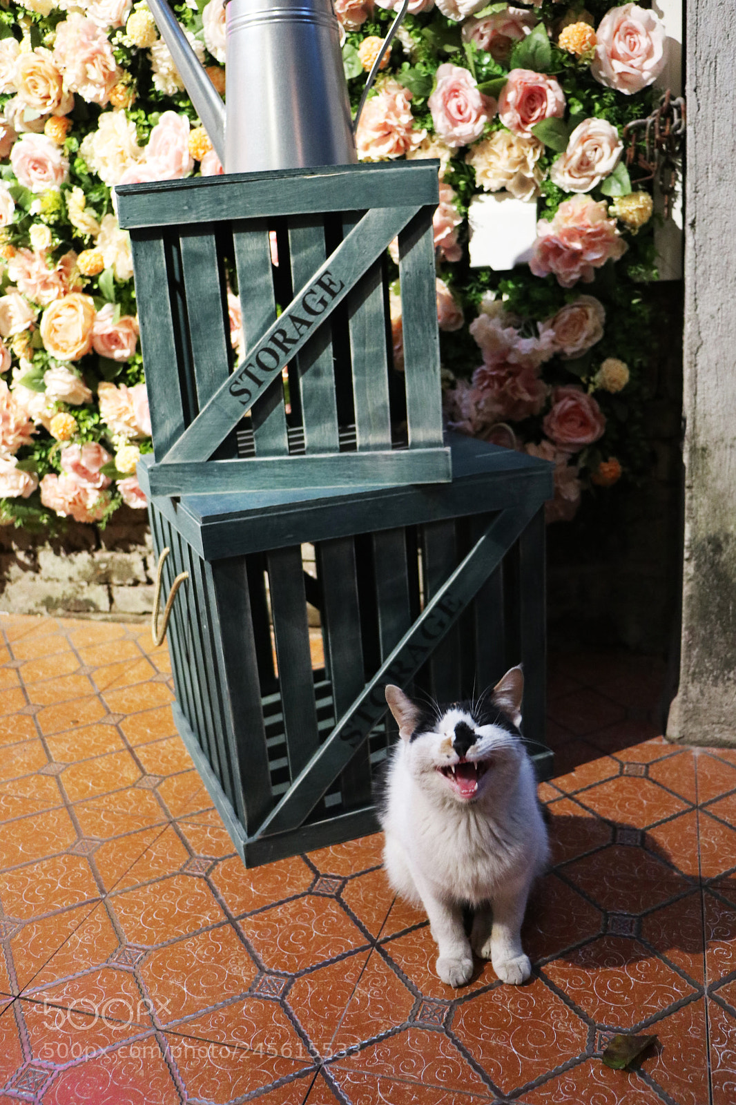 Canon EOS M100 sample photo. Laughing photography