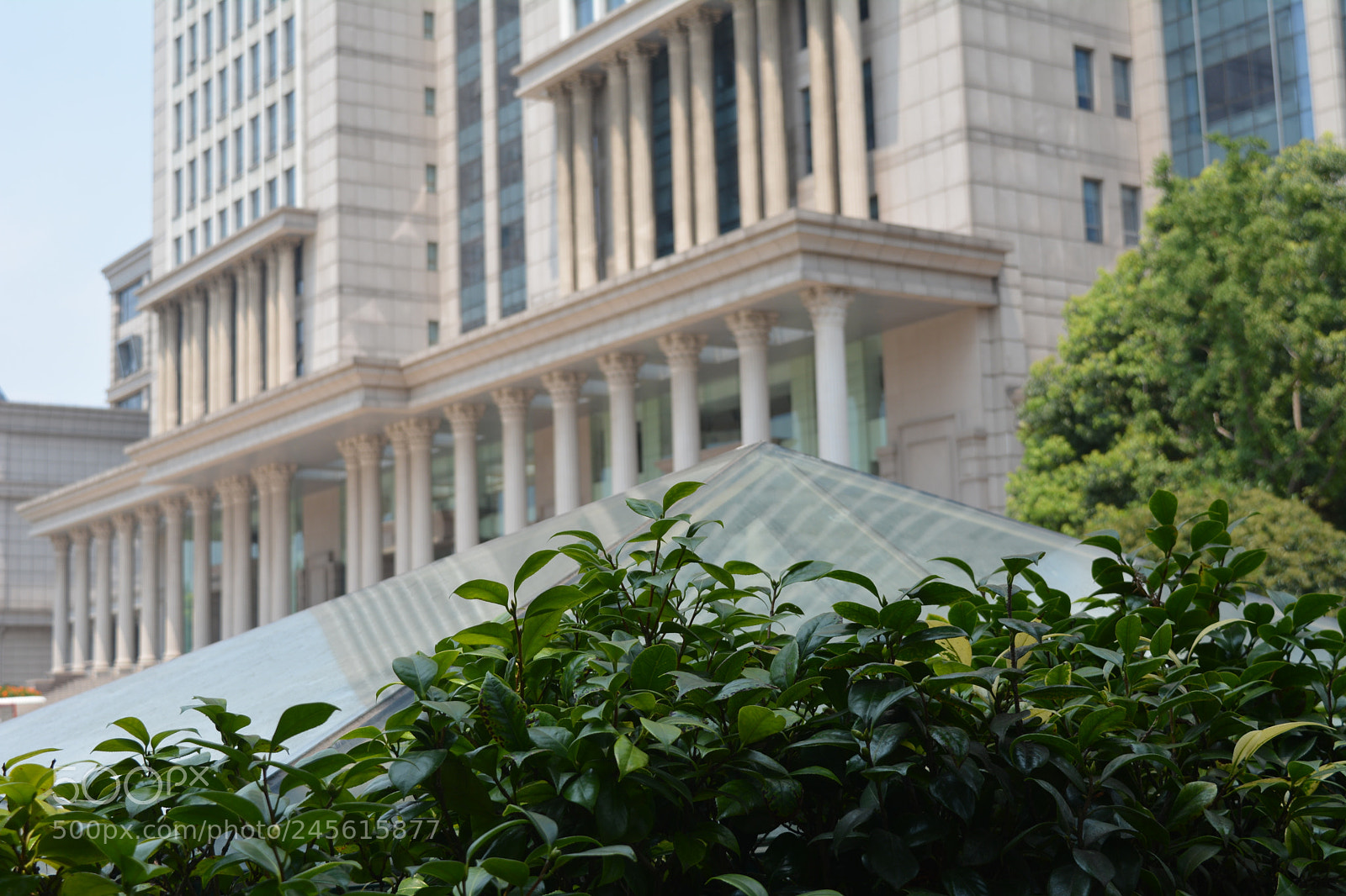 Nikon D5200 sample photo. Fudan university photography