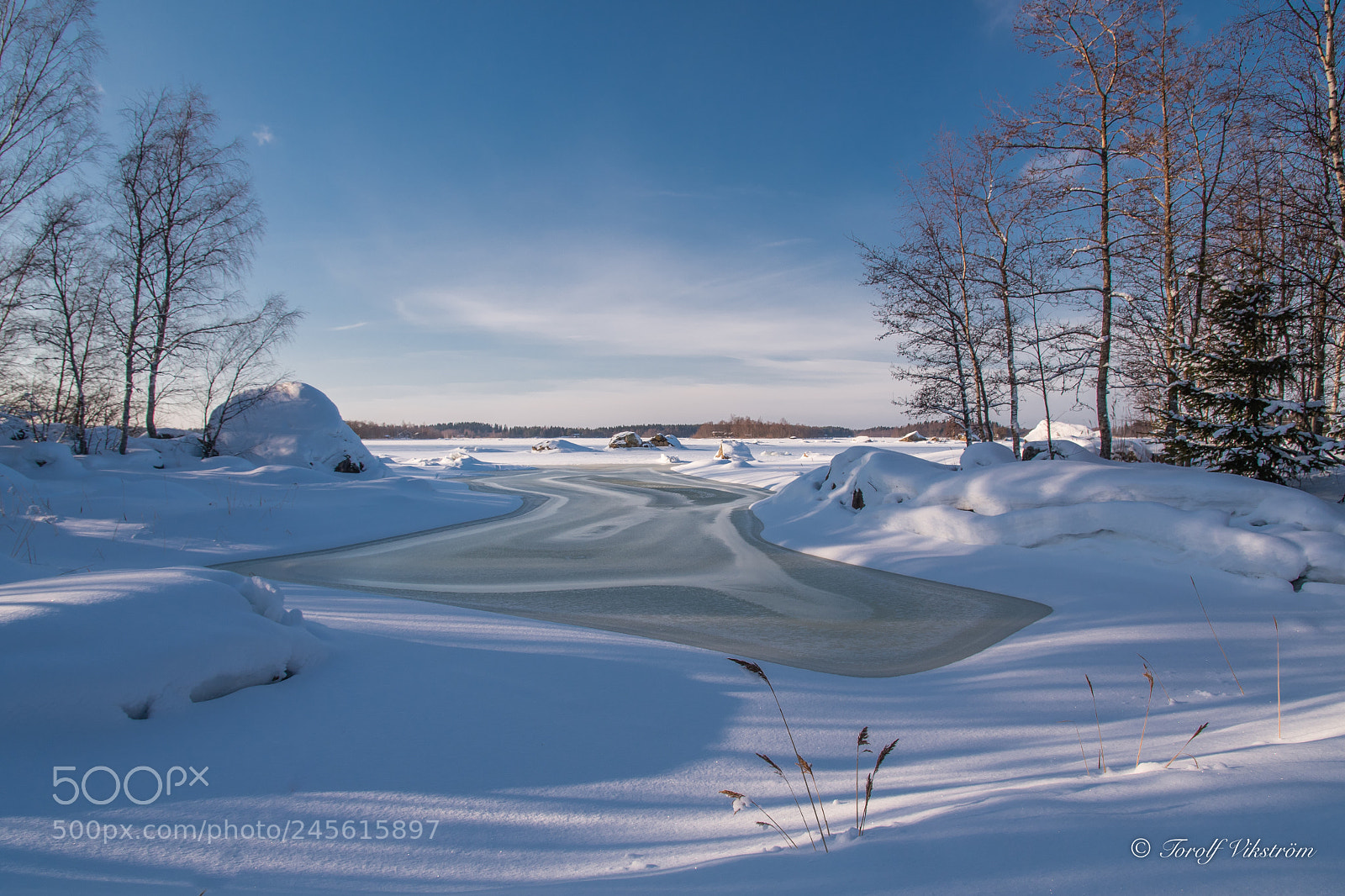 Nikon D7500 sample photo. A sunny winter day photography