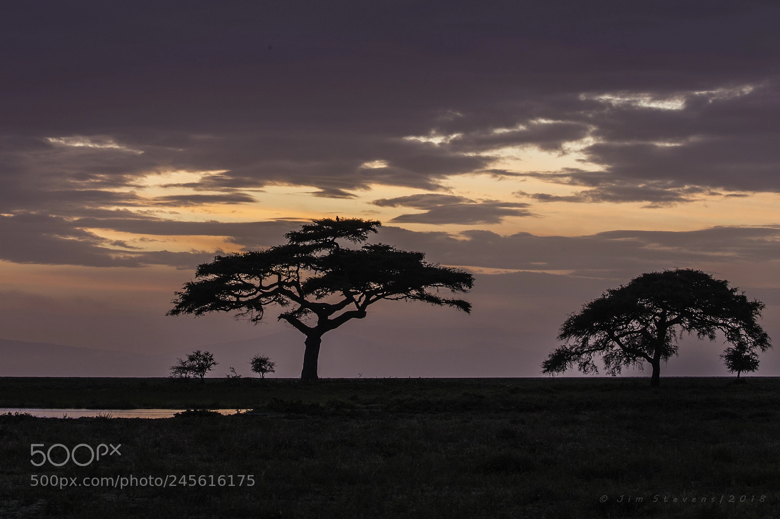 Canon EOS-1D X sample photo. Serengeti sunrise photography