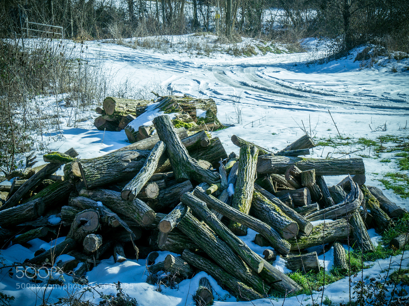 Panasonic Lumix DMC-G6 sample photo. A pile of logs photography