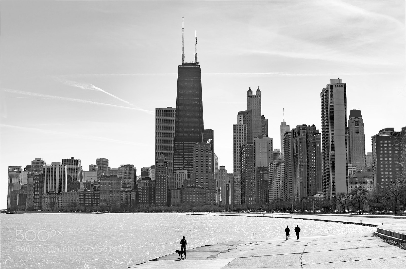 Sony a7R II sample photo. Chicago skyline from north photography