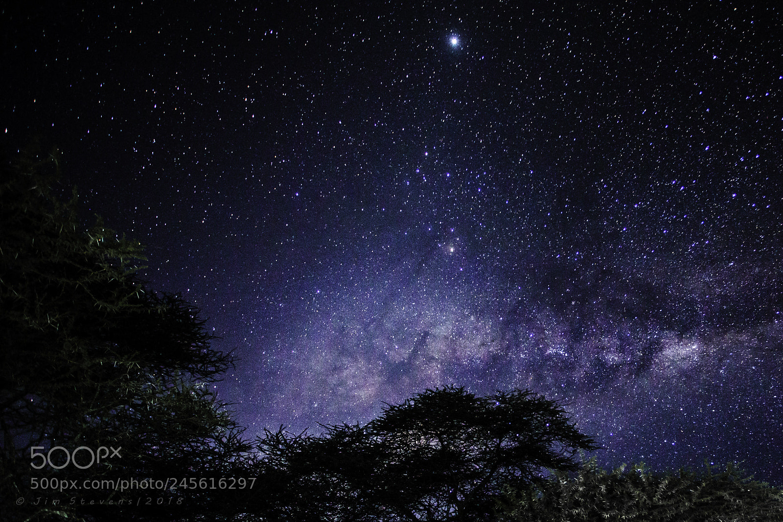 Canon EOS-1D X sample photo. Serengeti night sky photography