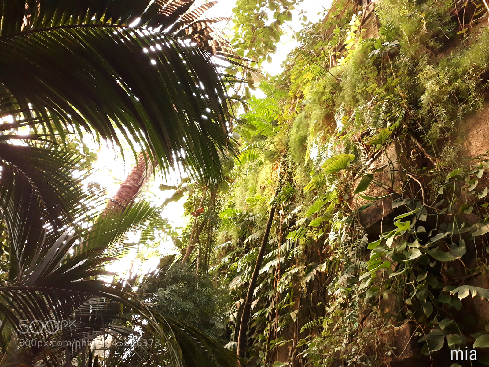Samsung Galaxy J7 sample photo. Greenery photography