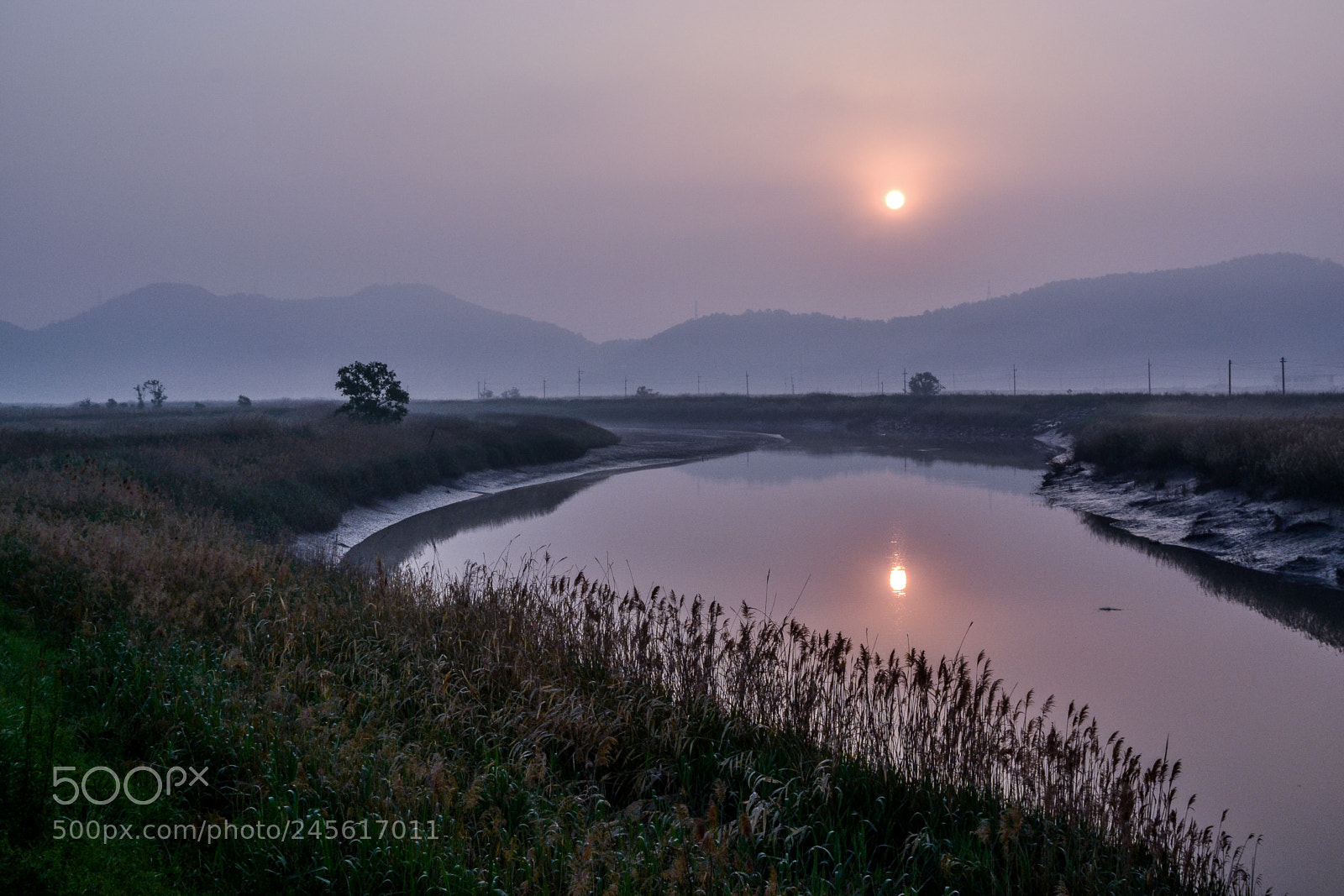 Nikon D3100 sample photo. Calm morning of river photography