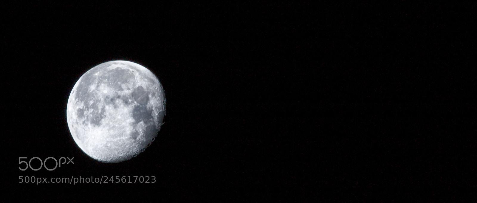 Canon EOS 450D (EOS Rebel XSi / EOS Kiss X2) sample photo. Blue moon photography