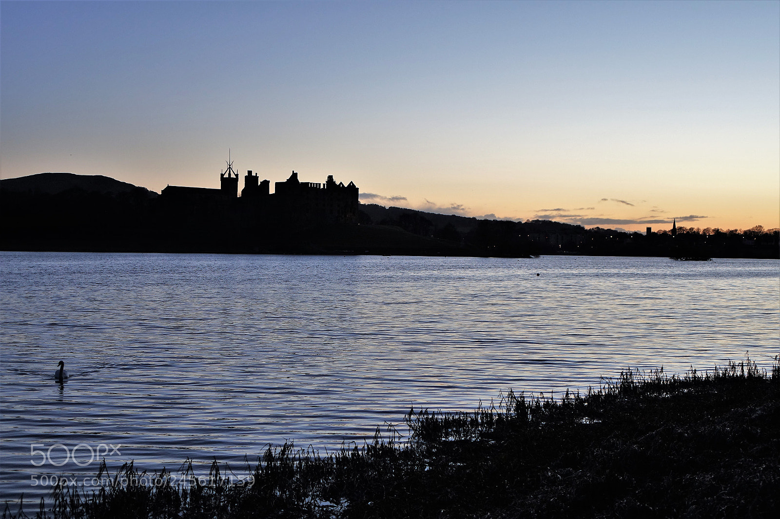 Sony Cyber-shot DSC-RX10 sample photo. Lone swan photography