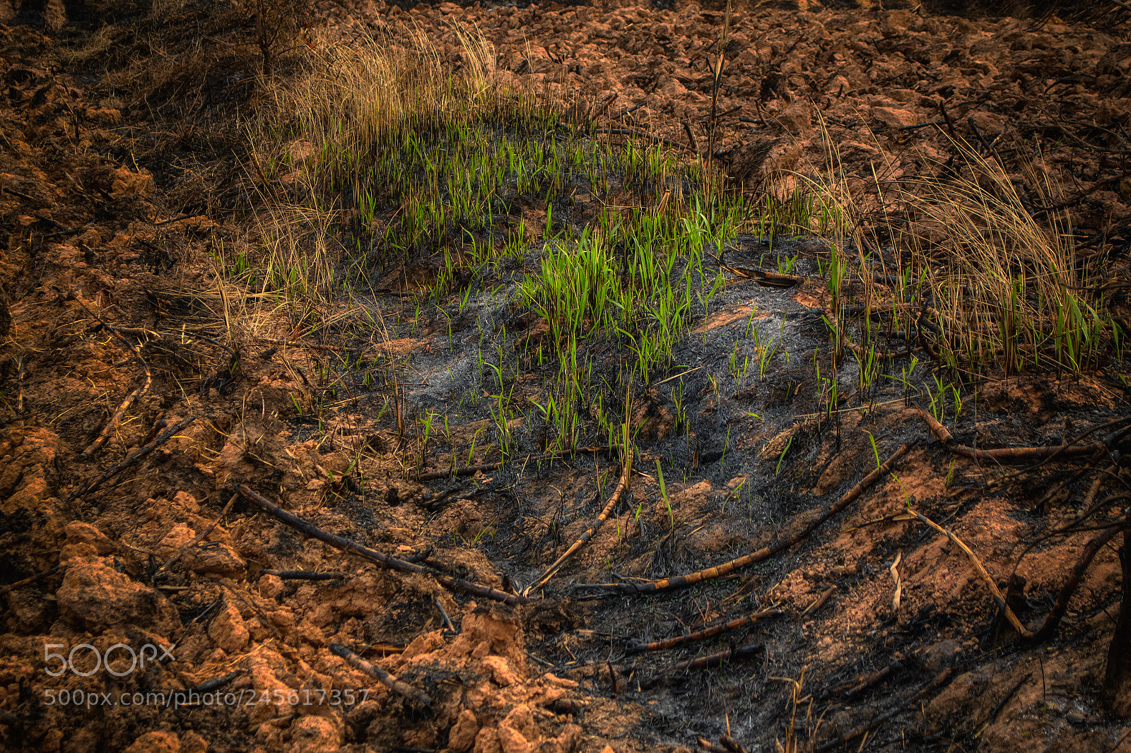 Nikon D3100 sample photo. Bad land photography